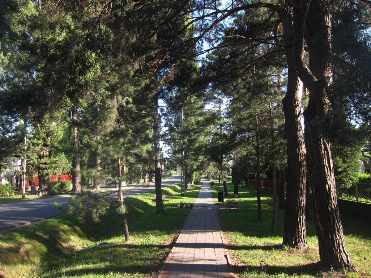 Tutijo Haziko Villa Balatonfenyves Bagian luar foto